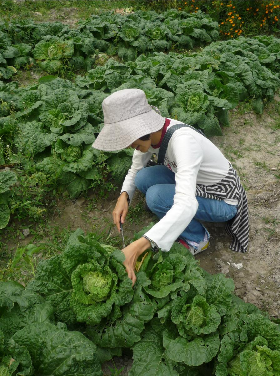 20101127 THE Organic Farm34